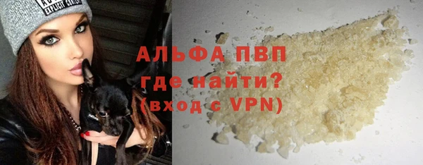 СК Белокуриха