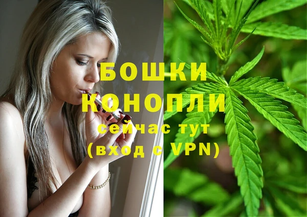 СК Белокуриха
