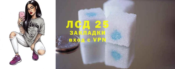 PSILOCYBIN Беломорск