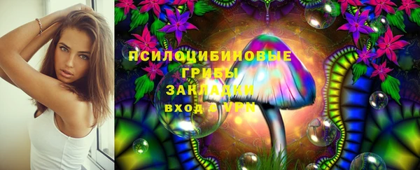 PSILOCYBIN Беломорск