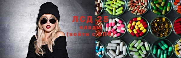 PSILOCYBIN Беломорск