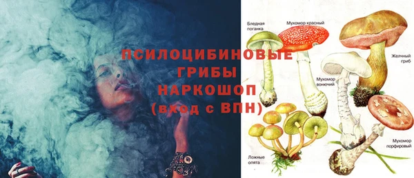 PSILOCYBIN Беломорск
