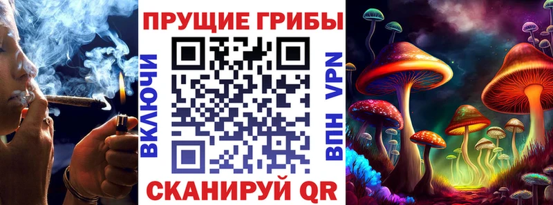 мега ONION  Вяземский  Галлюциногенные грибы Cubensis 
